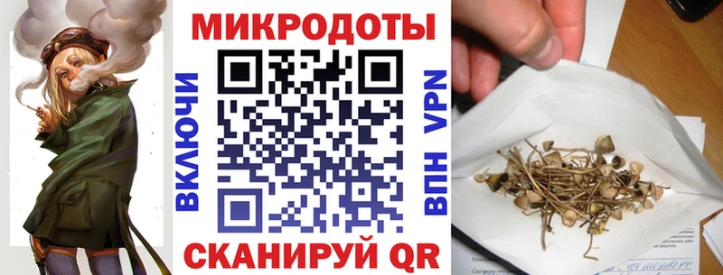 Купить  Южно-Сухокумск  Галлюциногенные грибы GOLDEN TEACHER 